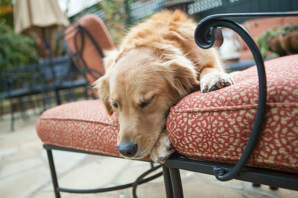 Changing the Look of your Outdoor Furniture