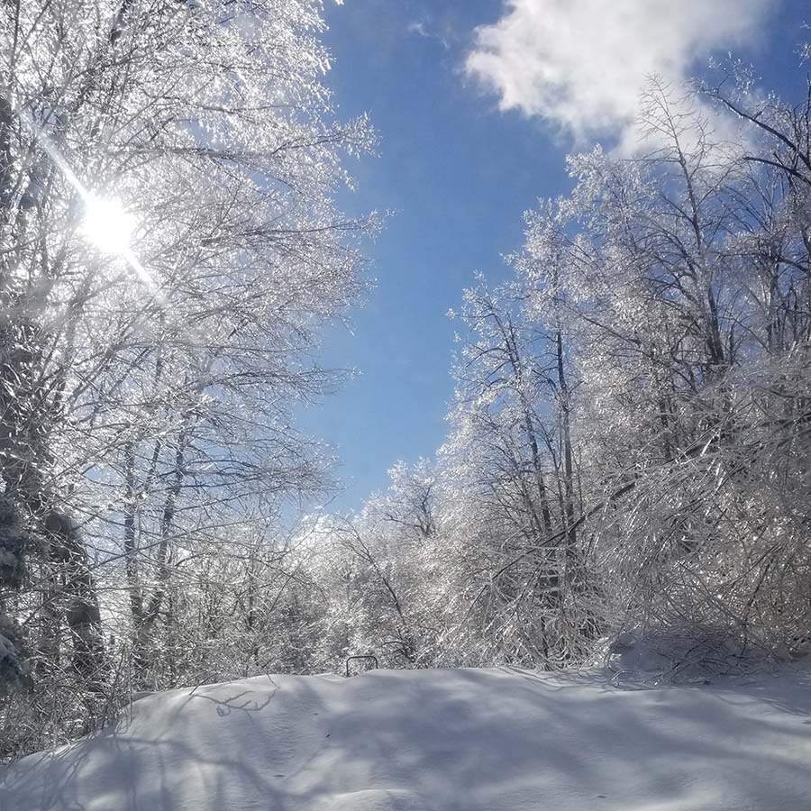 The winter sun in West Virginia